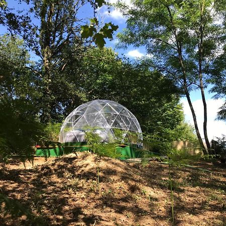 Bulle Etoilee En Nature Landaise Saint-Sever  Εξωτερικό φωτογραφία