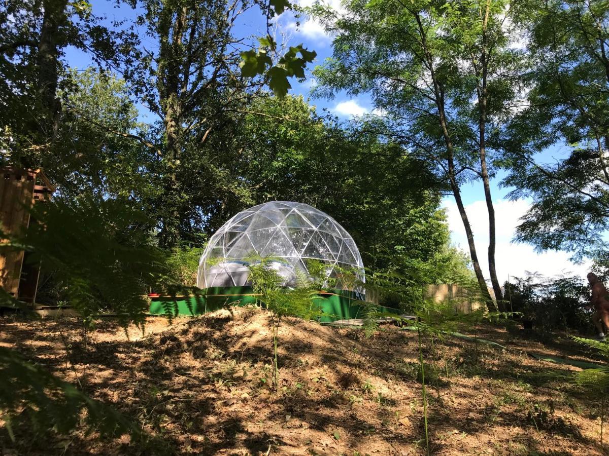 Bulle Etoilee En Nature Landaise Saint-Sever  Εξωτερικό φωτογραφία