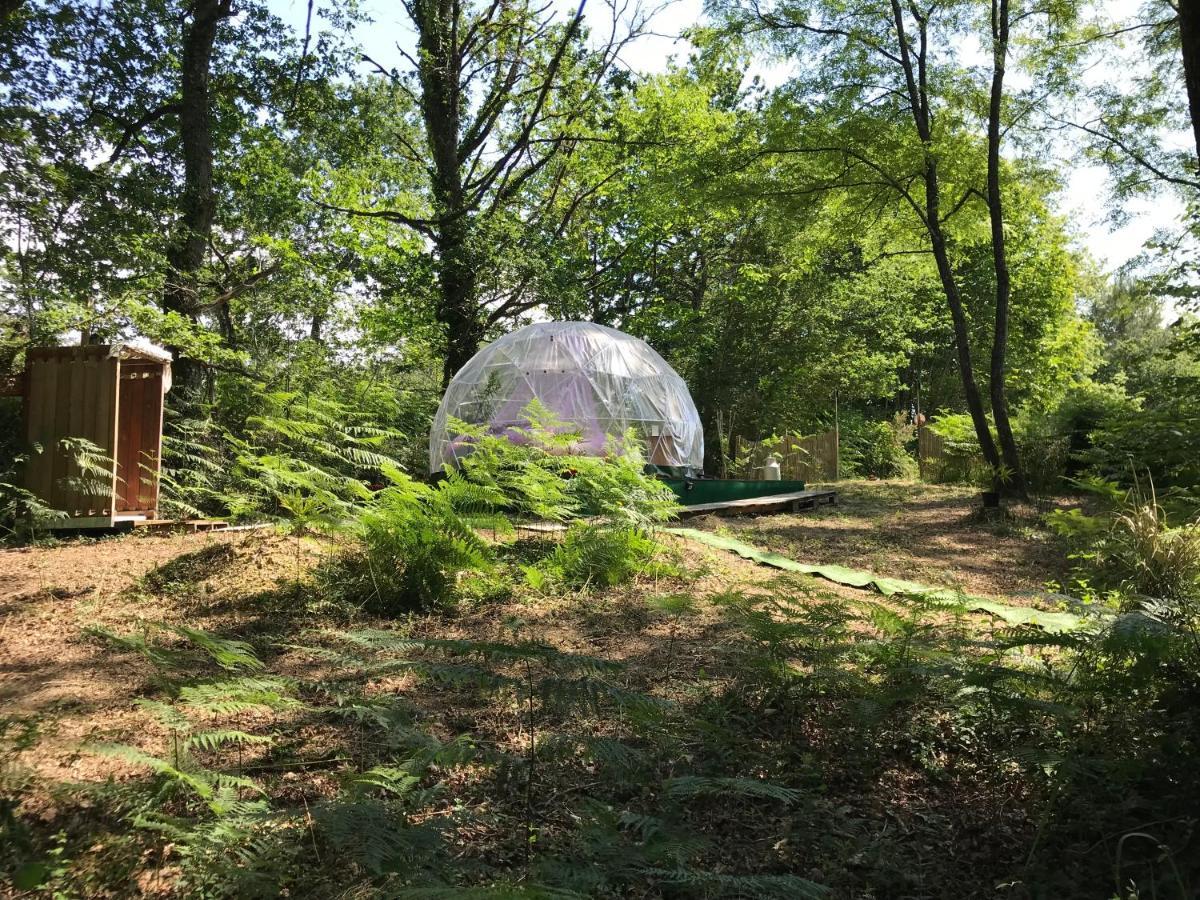 Bulle Etoilee En Nature Landaise Saint-Sever  Εξωτερικό φωτογραφία